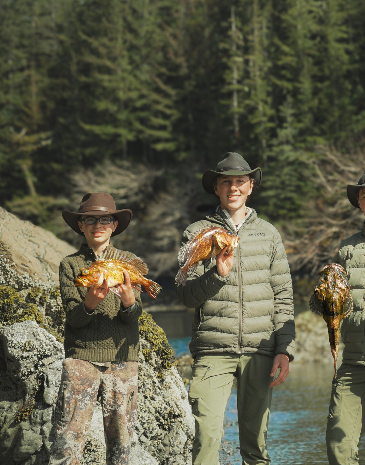 Alaskan fish harvest